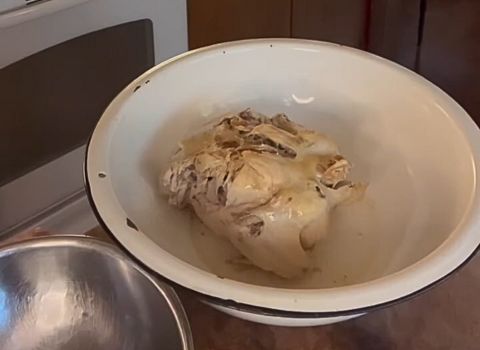 Cook the Chicken